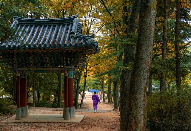 Imagem da Aldeia do Povo na Coreia do Sul